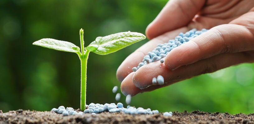 Do you know all the 13 