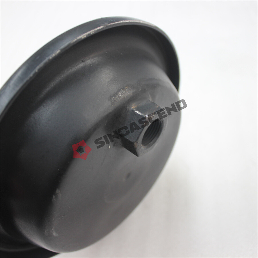 Balancer shaft cover End cap 2997054