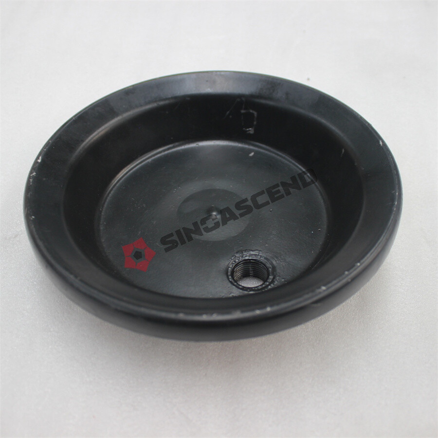 Balancer shaft cover End cap 2997054