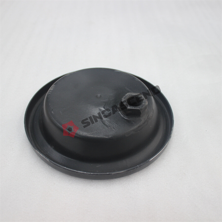 Balancer shaft cover End cap 2997054