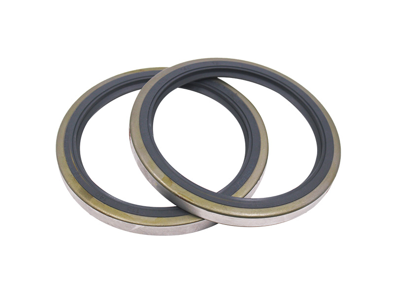 Delonghi 3000 front wheel oil seal (boutique)