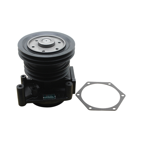 WATER PUMP 61500060229