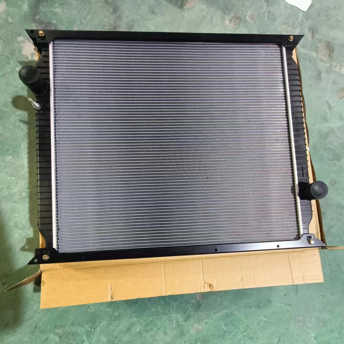 WG9719530276 (1).jpg