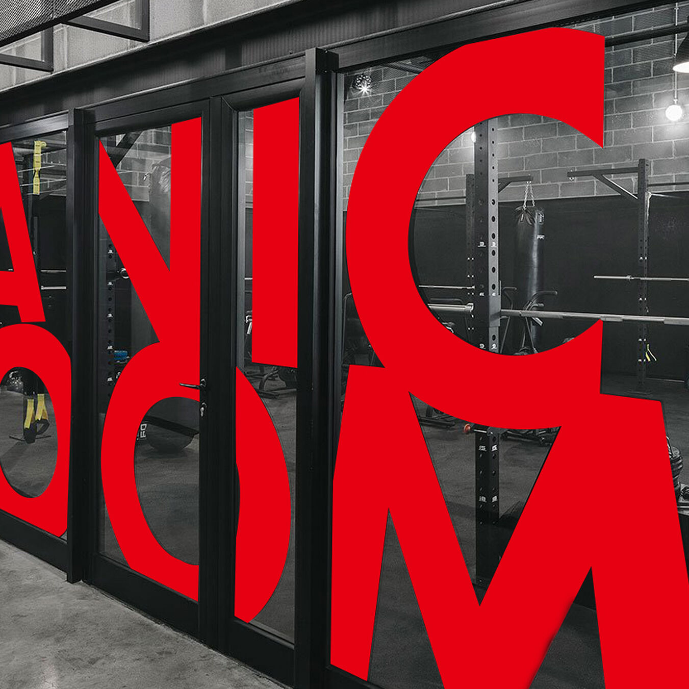 Window & Glass Lettering