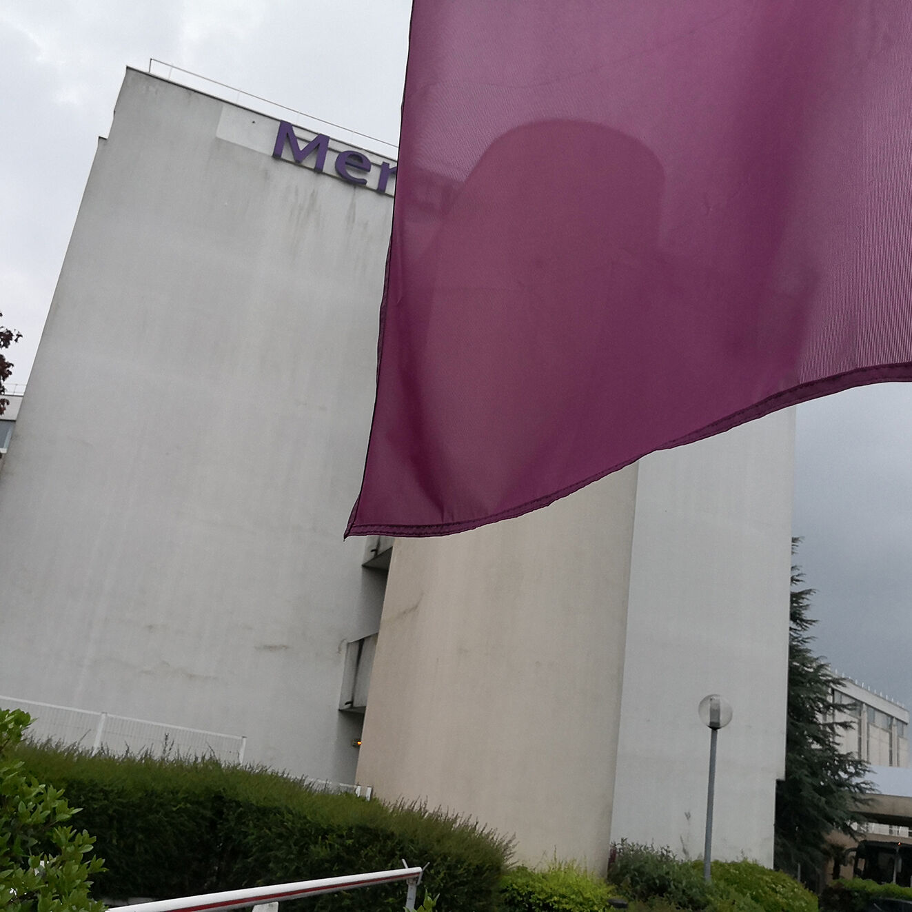 Custom Rectangle Flags