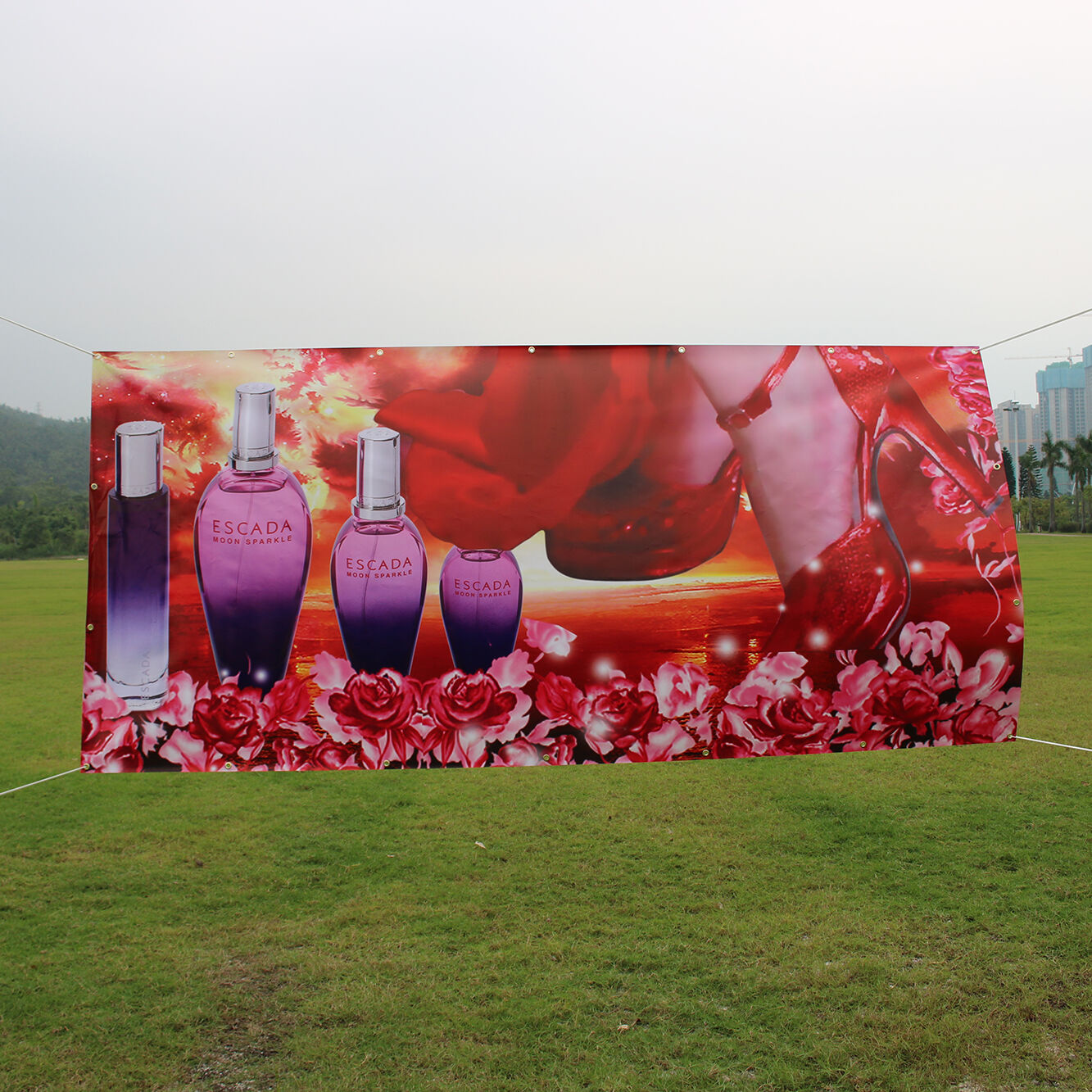 Vinyl Banners 510gsm