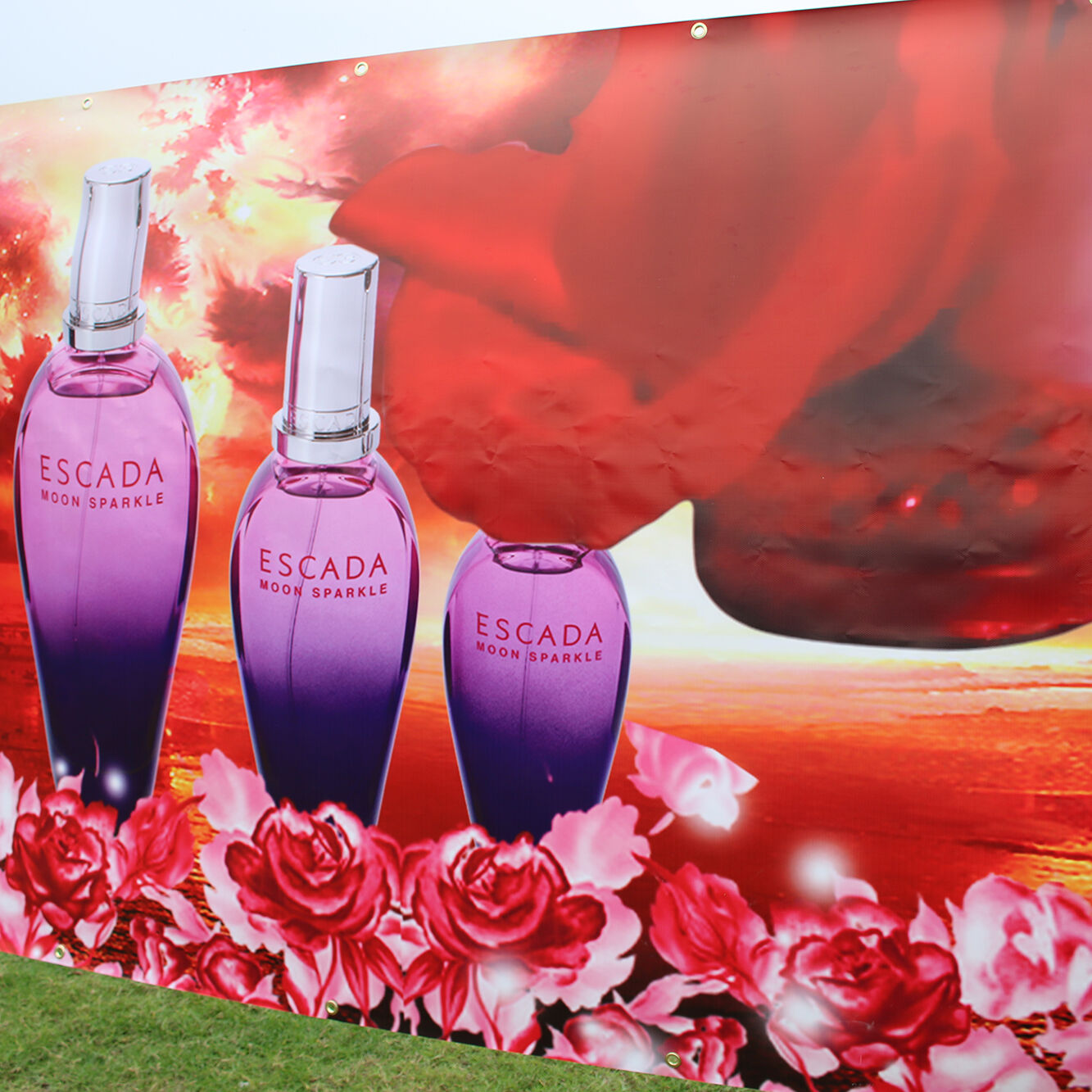 Vinyl Banners 510gsm