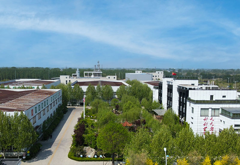 IP image customization