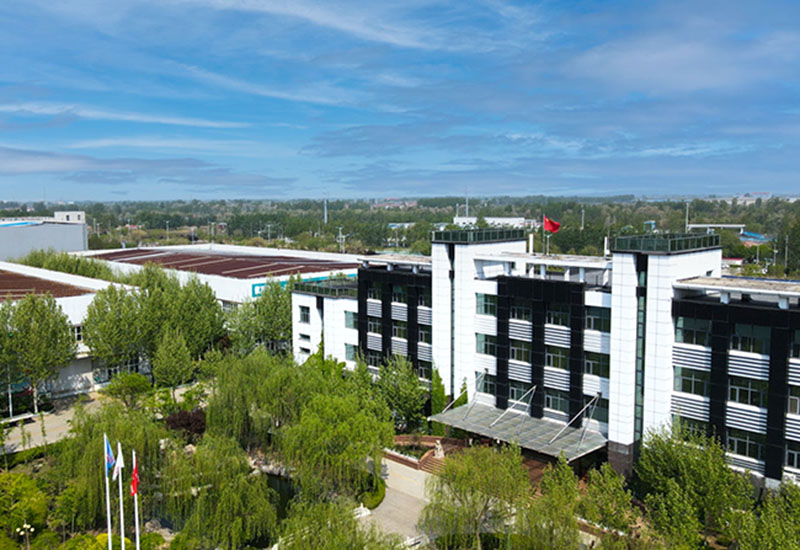 IP image customization