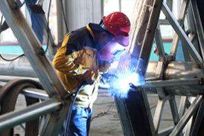 IP image customization IP image customization