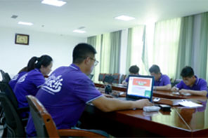 IP image customization IP image customization