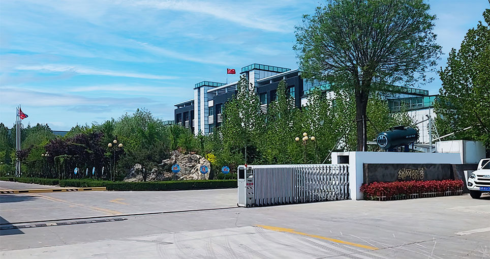 IP image customization IP image customization