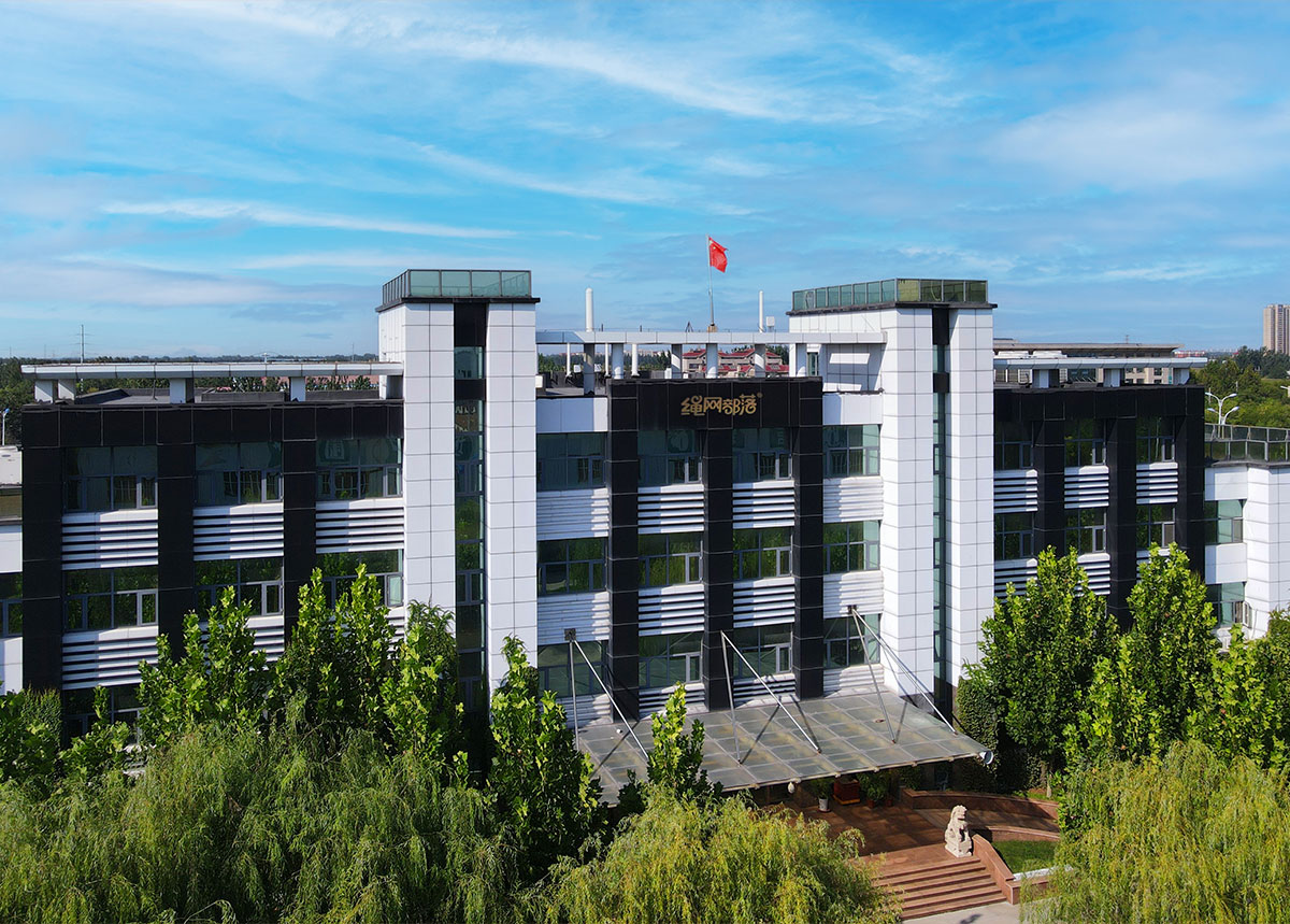 IP image customization IP image customization