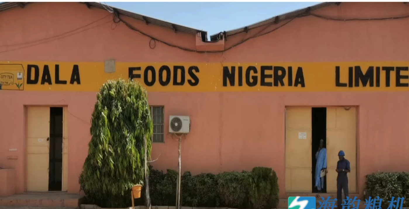 Client nigérian, bonne coopération. Merci pour votre confiance et d'avoir choisi à nouveau Haiyun grain machinery.