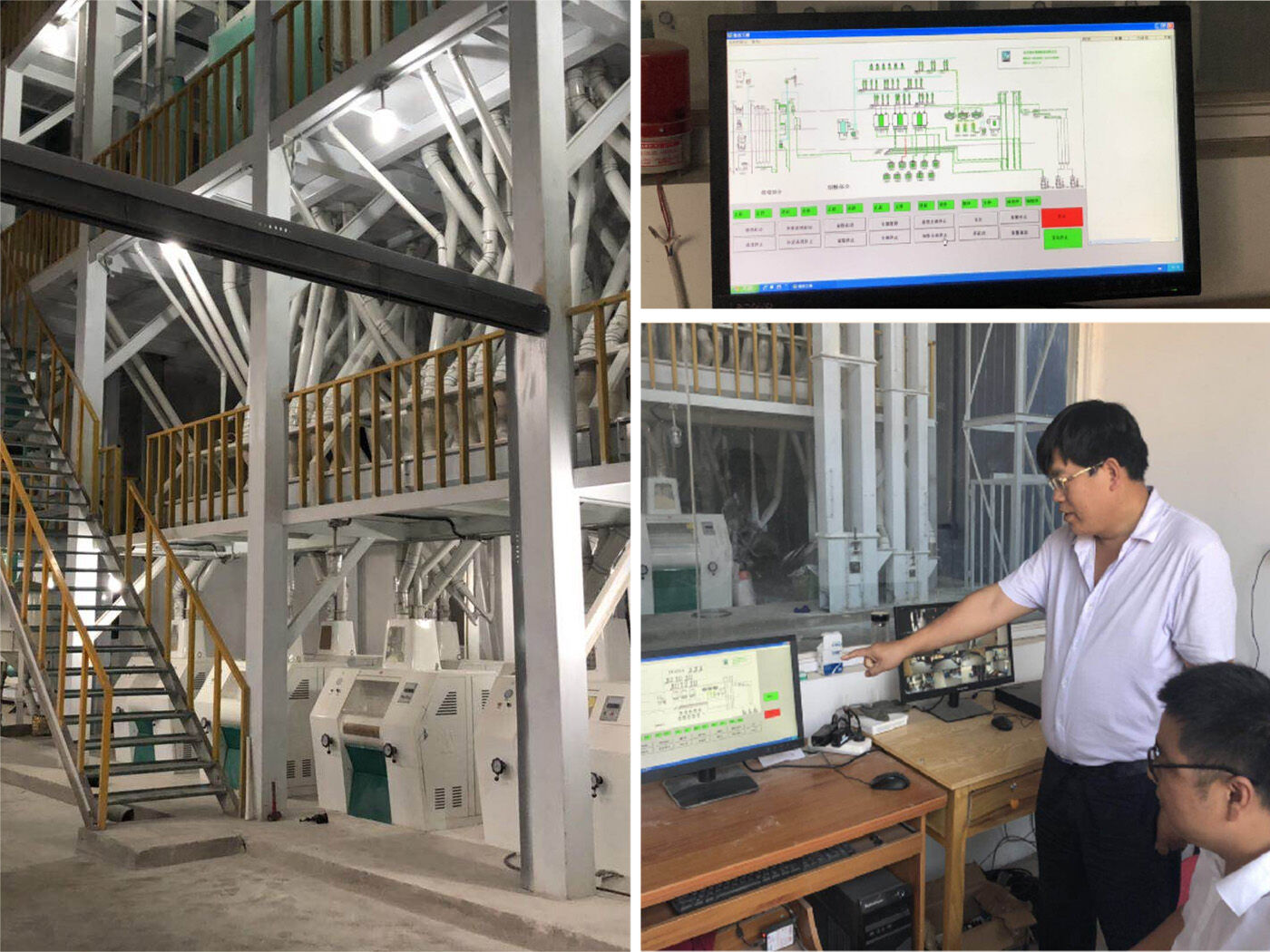 100TPD D'USINE DE MOULIN À FARINE DE BLÉ AVEC STRUCTURE EN ACIER