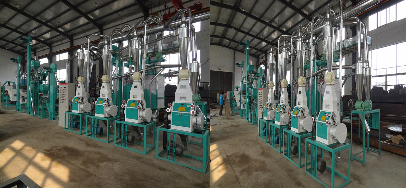 20 tonnes d'usine complète de machine de moulin à farine de maïs en Tanzanie