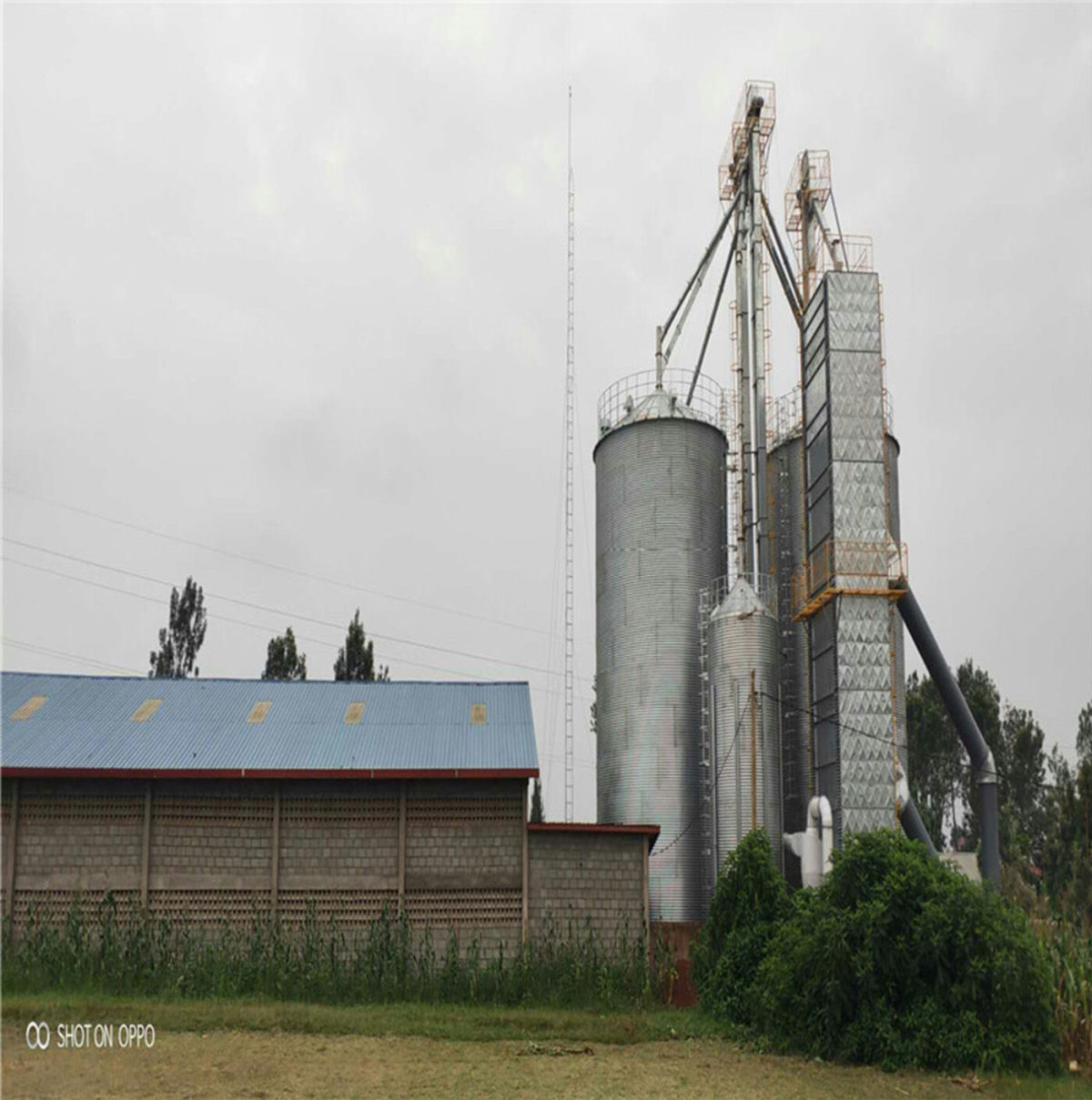 500T * 2 DE SILO DE STOCKAGE DE MAÏS ET D'USINE DE MACHINE SÈCHE au Rwanda