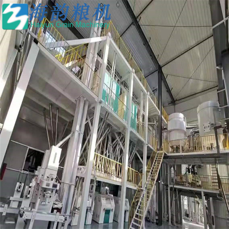 100 tonnes d'usine complète de fraiseuse de farine et de grain de maïs