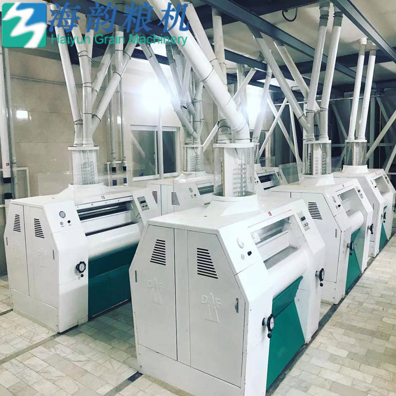 100 tonnes de machine de moulin à farine de blé concurrencent l'usine