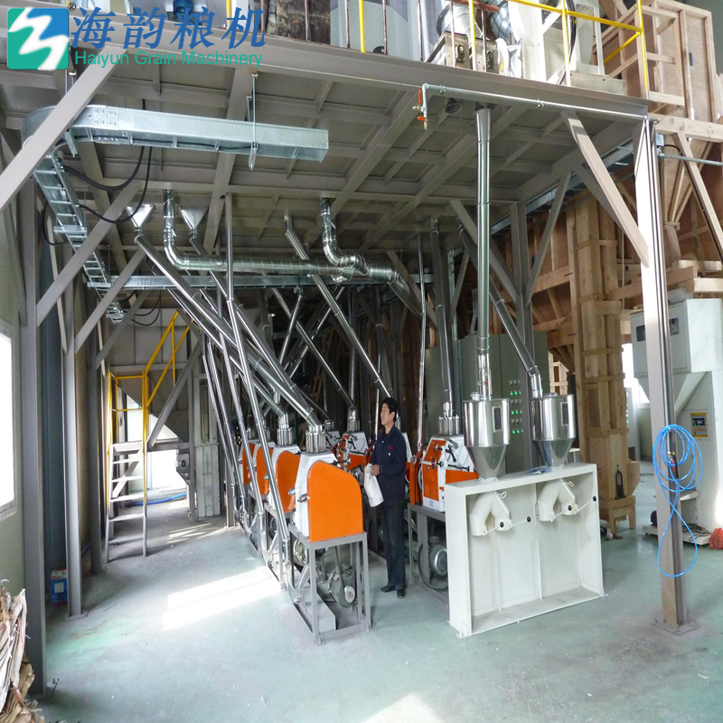 50 tonnes de ligne de machines de moulin à farine de sarrasin en Corée