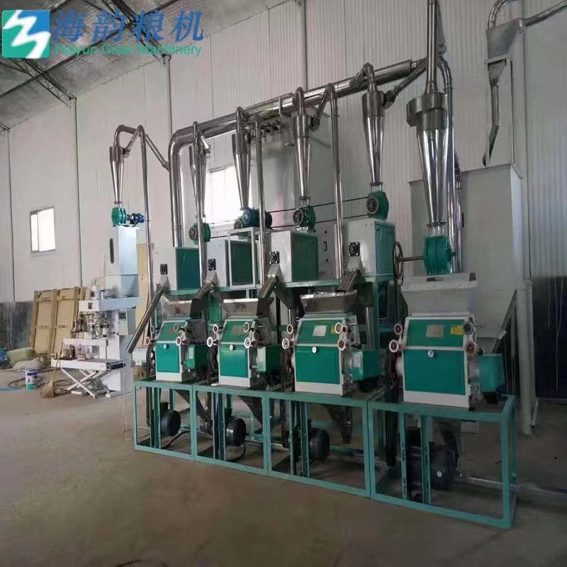 20TPD de ligne de traitement de machine de moulin à farine d'avoine
