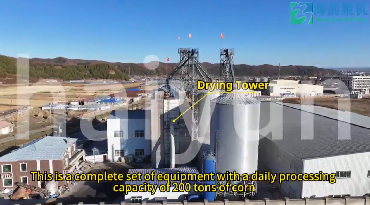 FÁBRICA DE MÁQUINAS PARA PRODUÇÃO DE FARINHA E GRÃO DE MILHO 200TPD