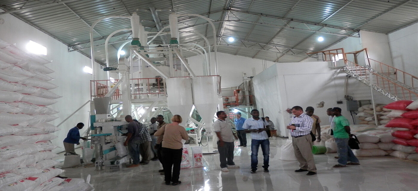 50 toneladas de farinha de milho e máquina de moinho de grãos fábrica completa em Moçambique