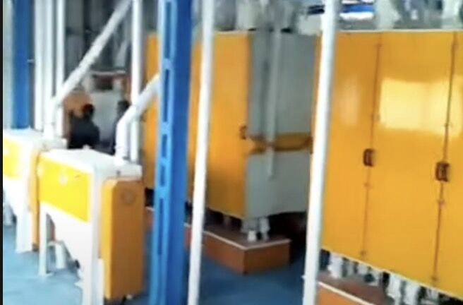 150 toneladas de linha de máquina de moinho de farinha de trigo