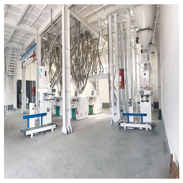 60 toneladas de máquina de molino de harina de trigo compiten planta