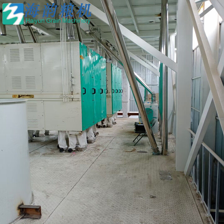 70 toneladas de planta de máquina de molino de harina de arroz