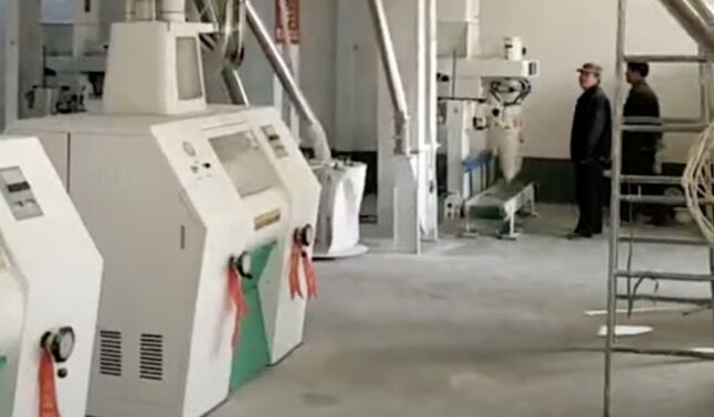 60T of wheat flour mill machine plant
