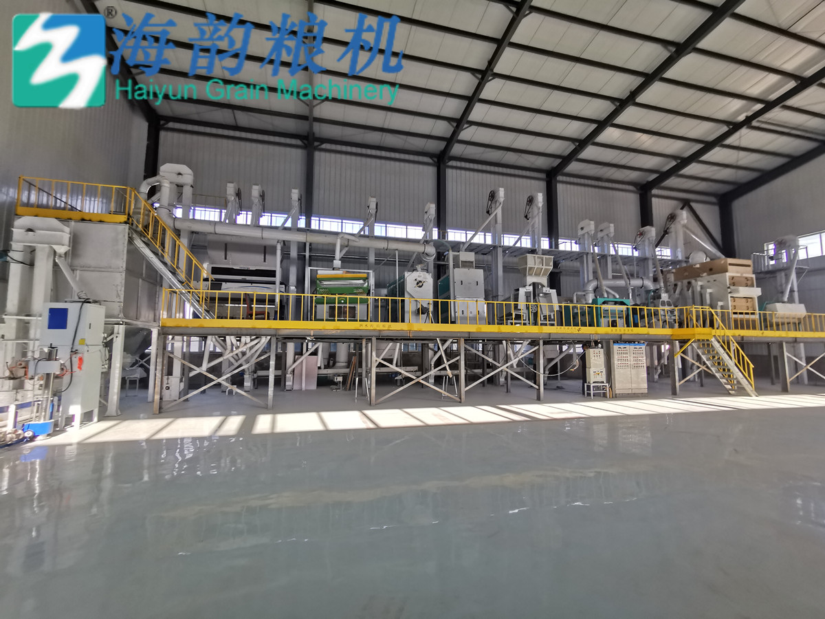 3-4TPH de la línea de procesamiento de la máquina de limpieza de avena