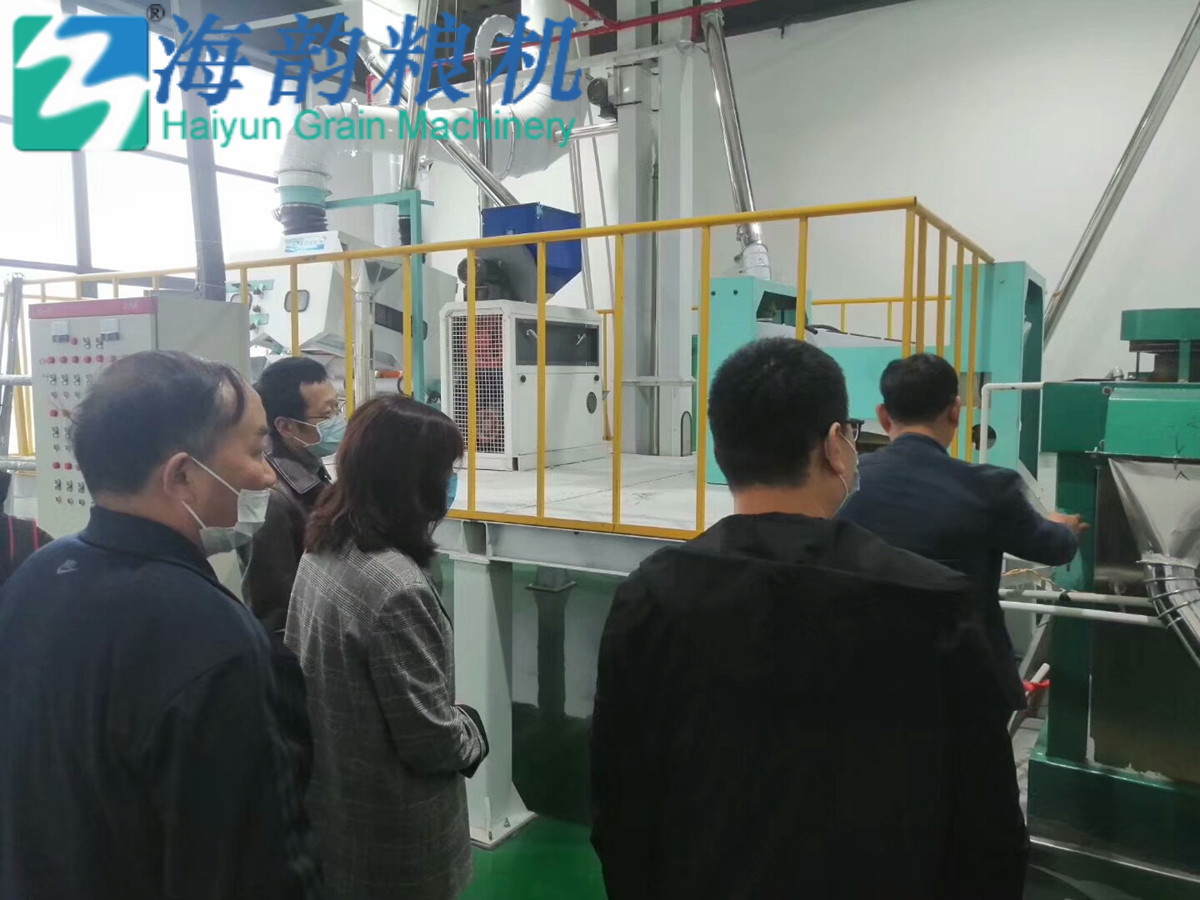 20 toneladas de línea de máquinas de té de trigo sarraceno