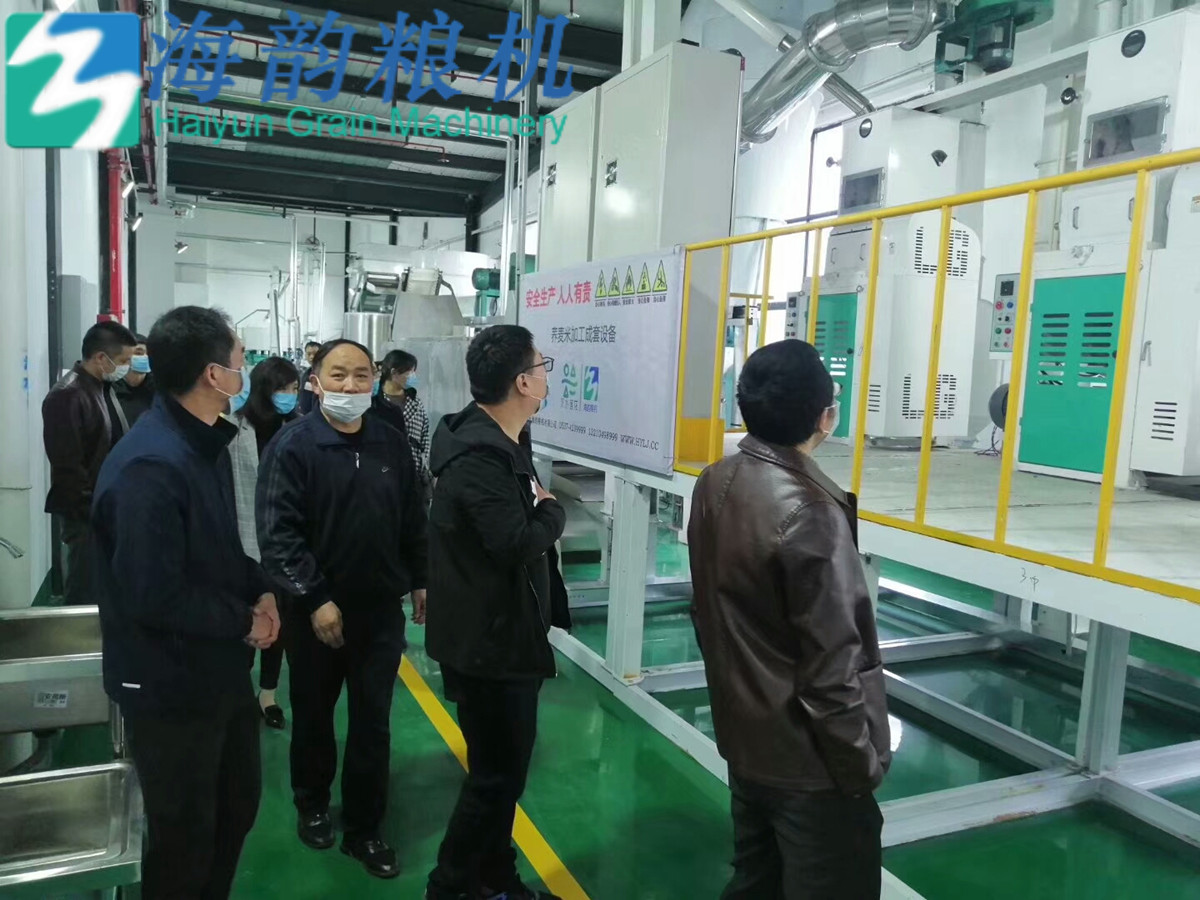 20 toneladas de línea de máquinas de té de trigo sarraceno