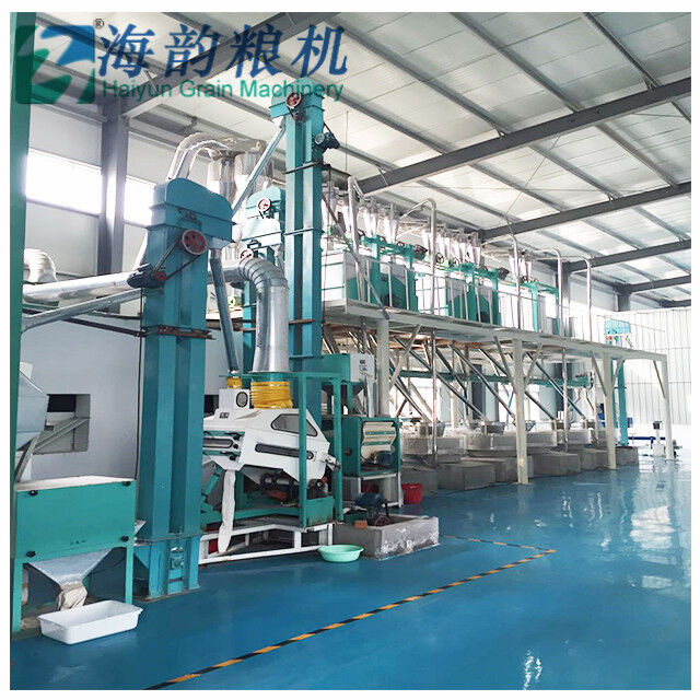 Máquina de molino Stoner para 10 toneladas de línea de máquina de molino de harina de trigo/teff