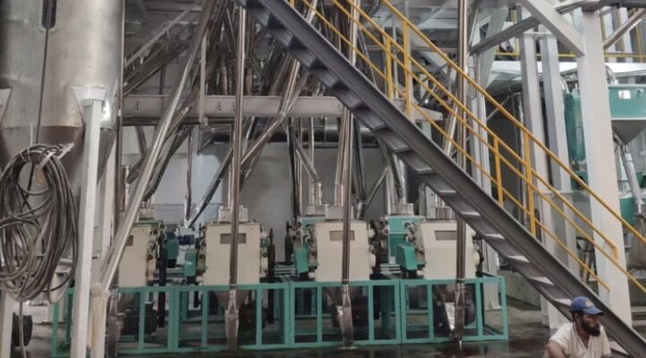 máquina de molino de harina de trigo