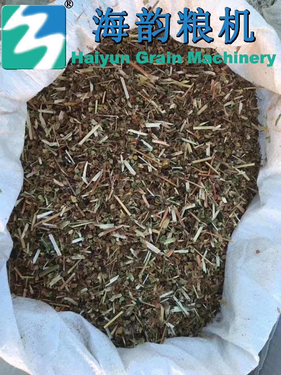 2000 kg/hora de línea de máquina limpia de trigo sarraceno