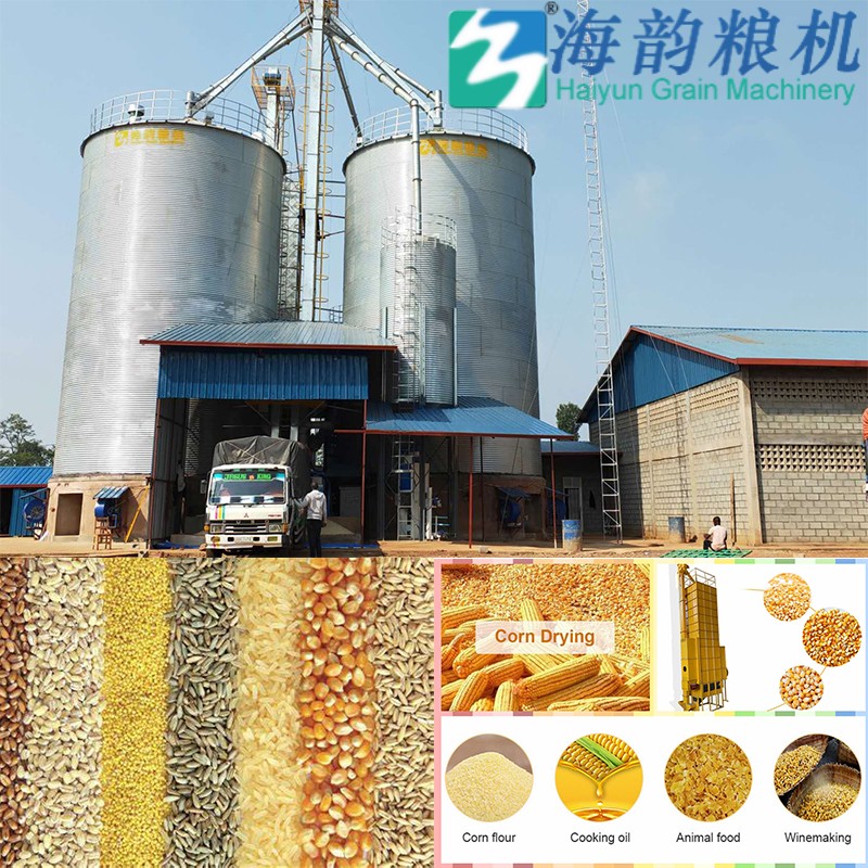 300T/D トウモロコシ乾燥塔から 1200 トン貯蔵サイロまで