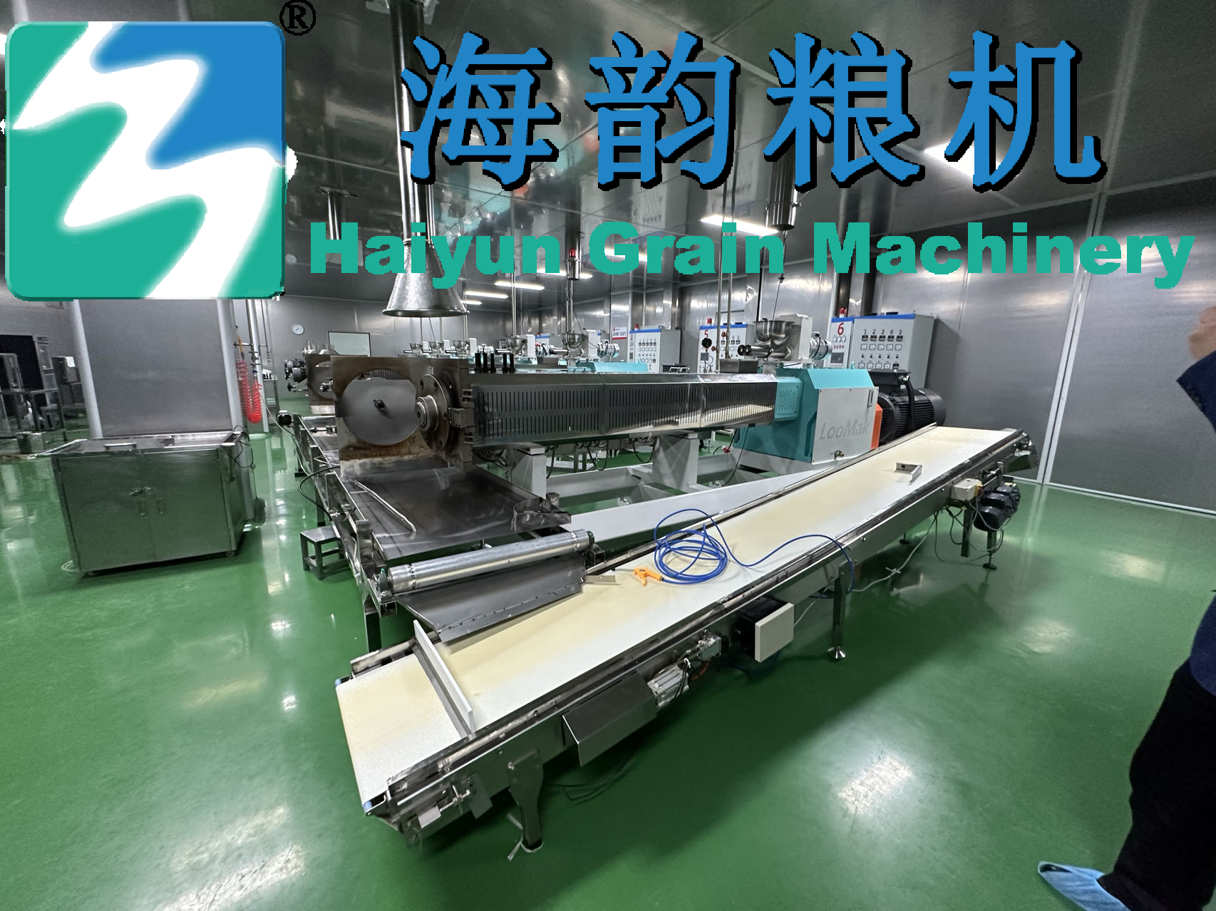 オーツ麦/トウモロコシ/小麦/米粉混合機製品ライン