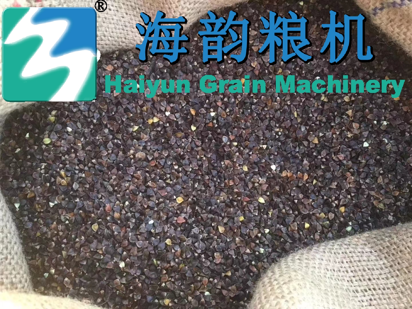 2000kg/時間のそば粉クリーンマシンライン