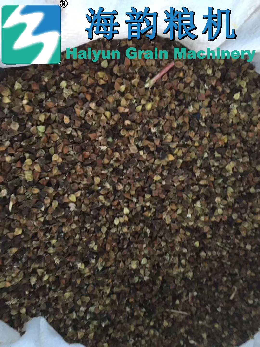 2000kg/時間のそば粉クリーンマシンライン