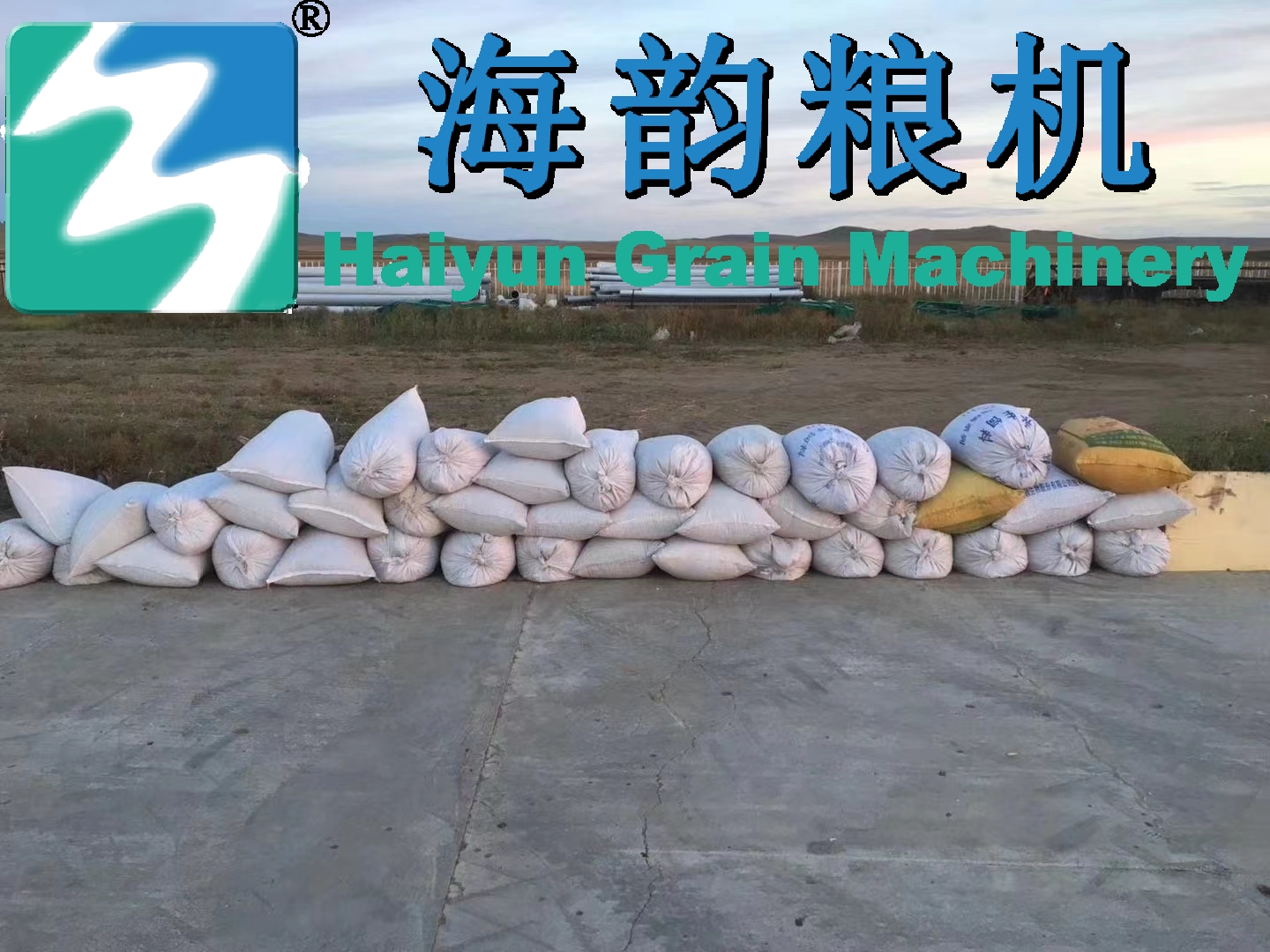 2000kg/時間のそば粉クリーンマシンライン