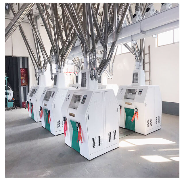 60 طن من مطحنة دقيق القمح آلة تنافس النبات