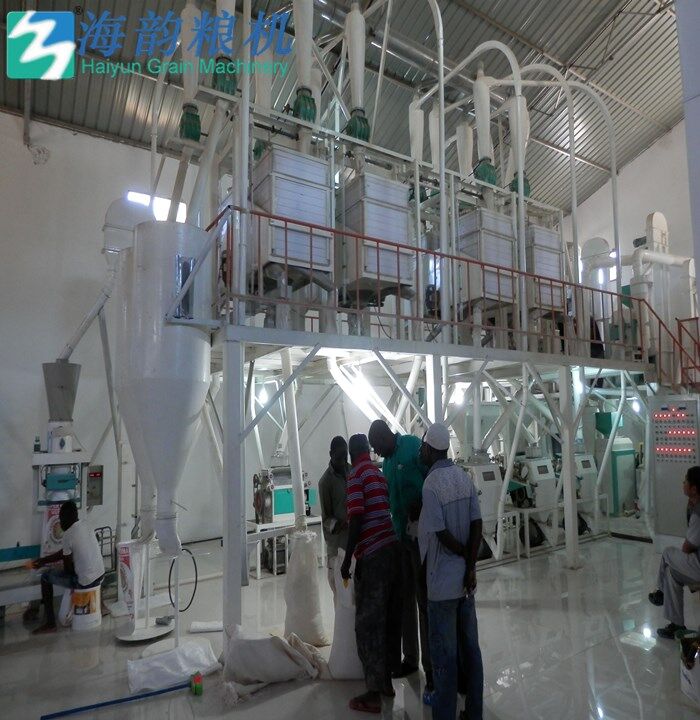 50 طن من دقيق الذرة وآلة طحن الحبيبات كاملة