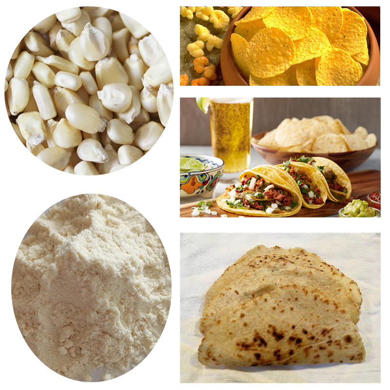 MASA CORN FLOUR MACHINE PLANT / Nixtamal (Masema) خط آلة دقيق الذرة