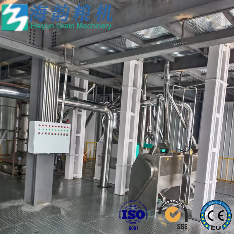MASA CORN FLOUR MACHINE PLANT / Nixtamal (Masema) خط آلة دقيق الذرة