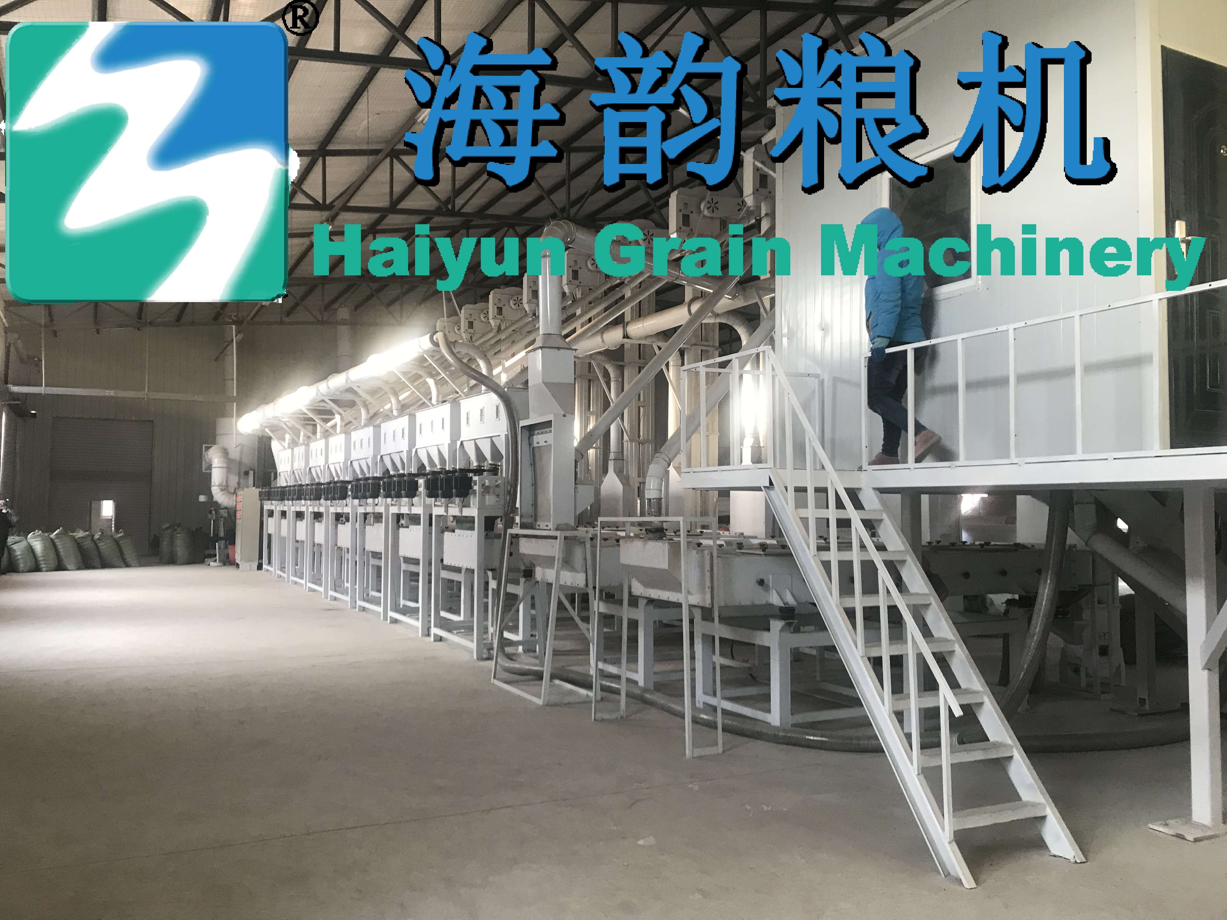 50 طنًا من مقشر الحنطة السوداء إلى ممهدة الصفوف إلى خط آلة التعبئة