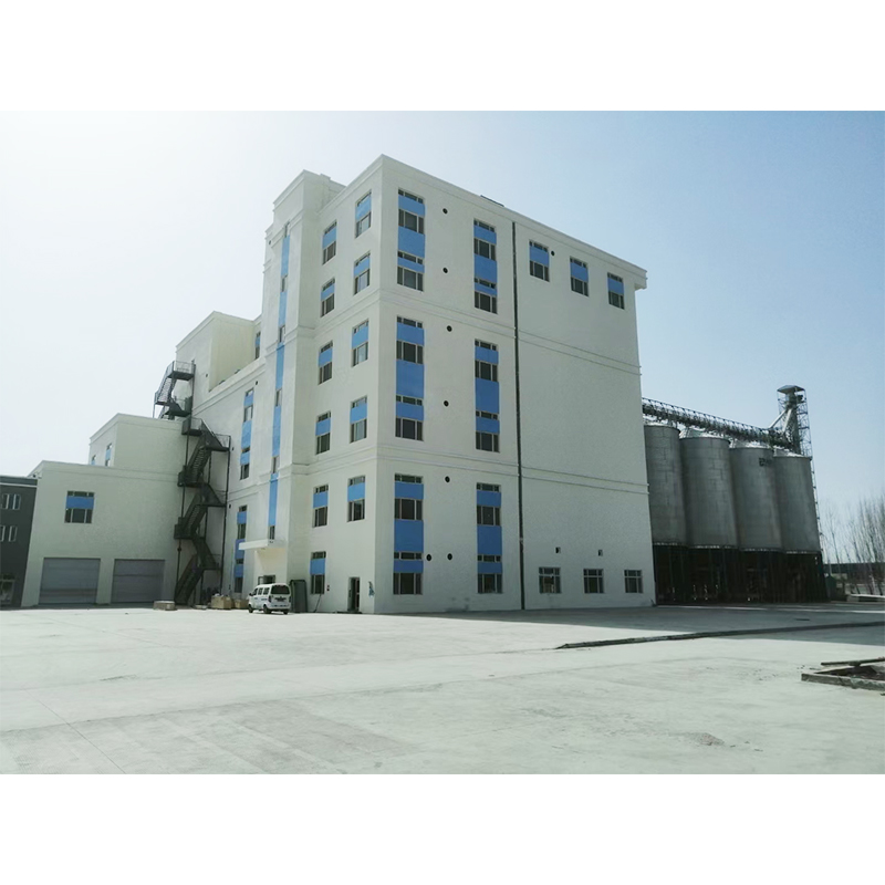 100-5000tons 저장 곡물 사일로