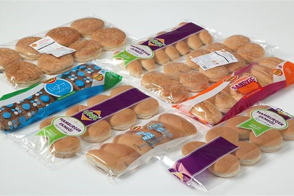 WBZ-SP economic type pillow wrap packing machine(HFFS)