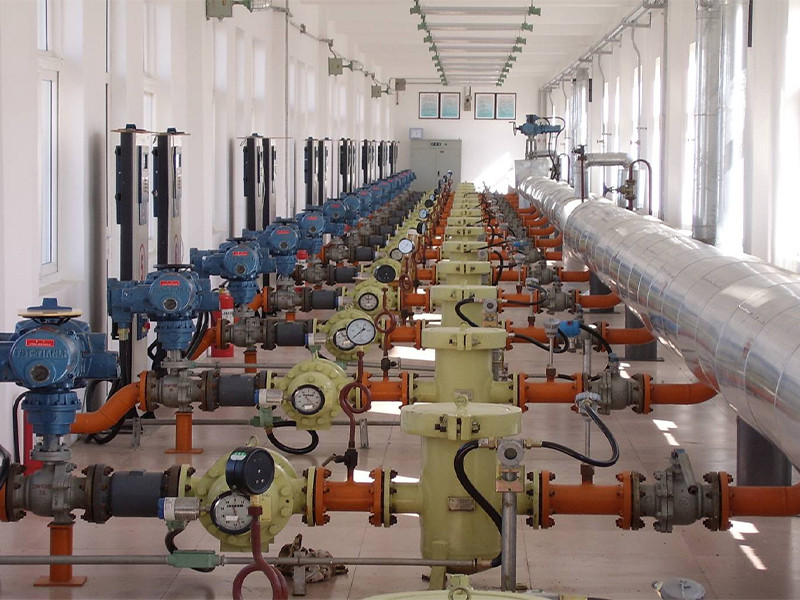 Bi rotor PD flowmeter